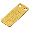 icOns_Gold_Medallion_Reverse_Small.png